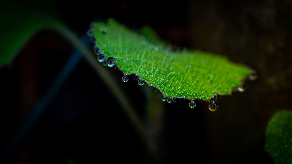 Photograph by Debs Rosales Alberto