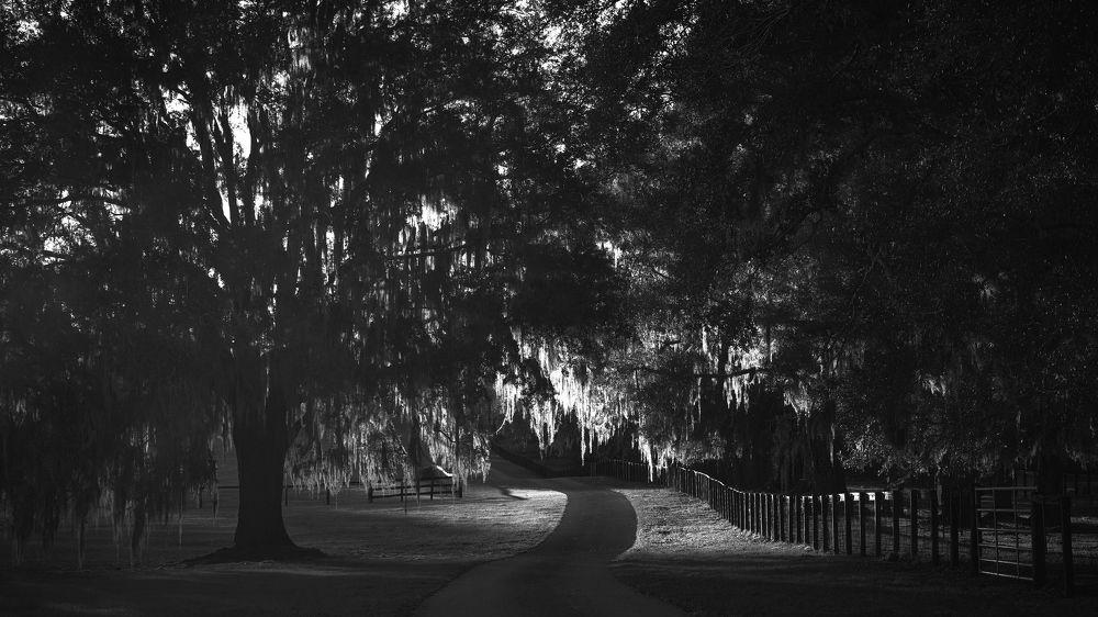 Photograph by Евгений Фук