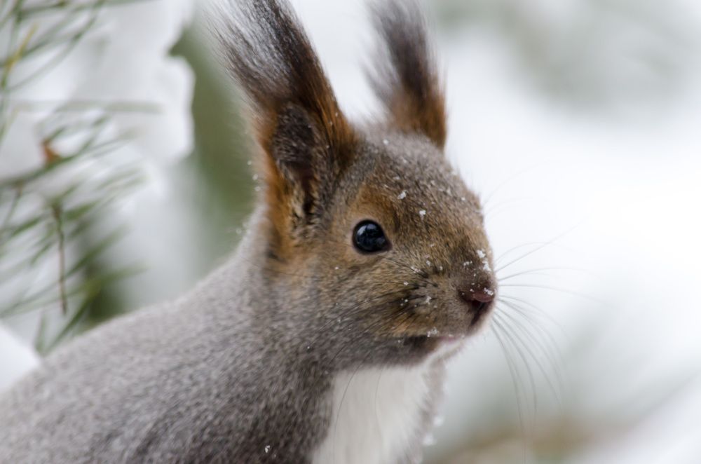 Photograph by Вадим Басов
