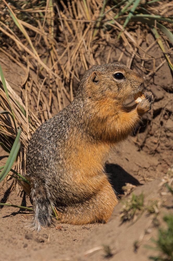 Photograph by Вадим Басов