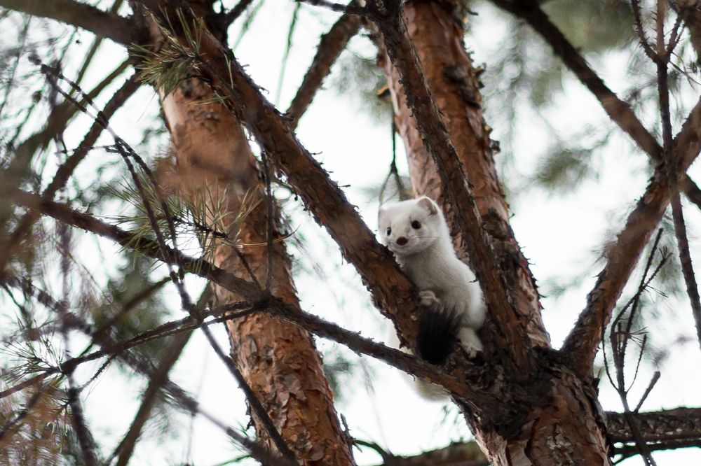 Photograph by Анастасия Власова