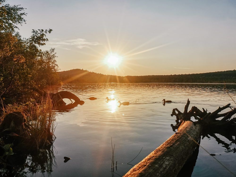 Photograph by Elizabeth Kochneva