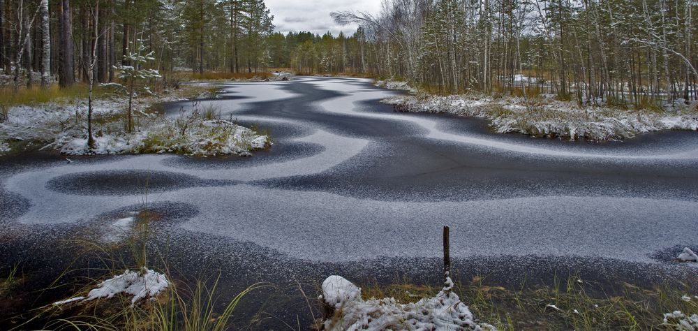 Фотография автора Александр Сальников
