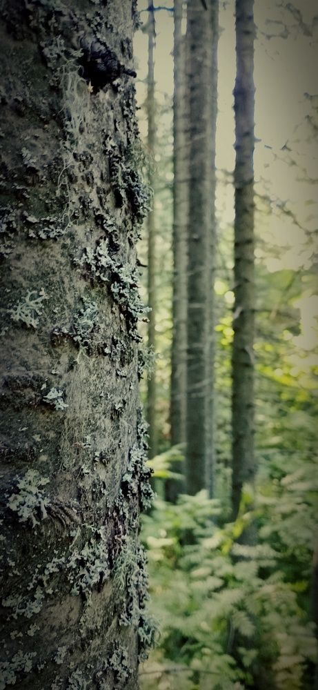 Photograph by Иван Соловьев