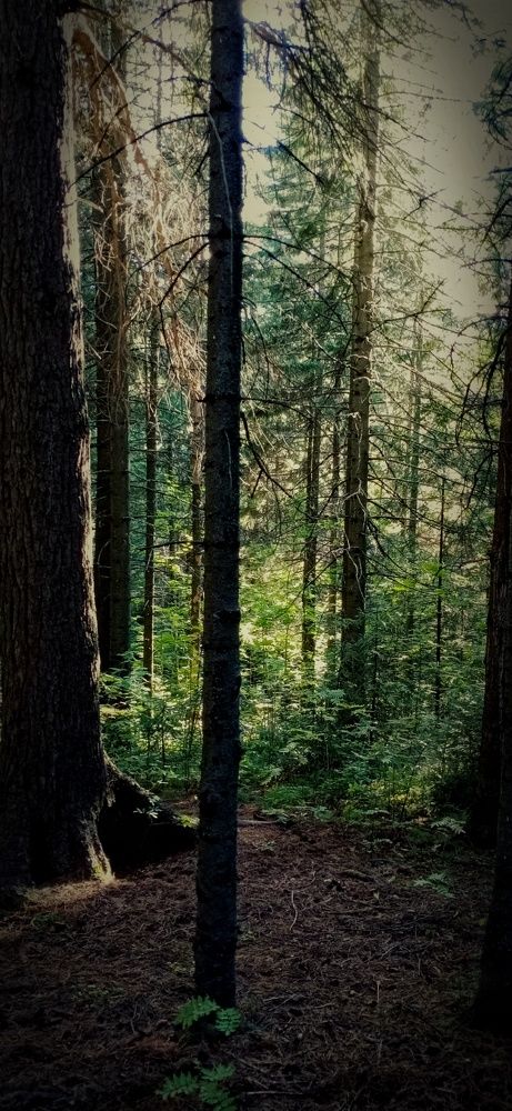 Photograph by Иван Соловьев