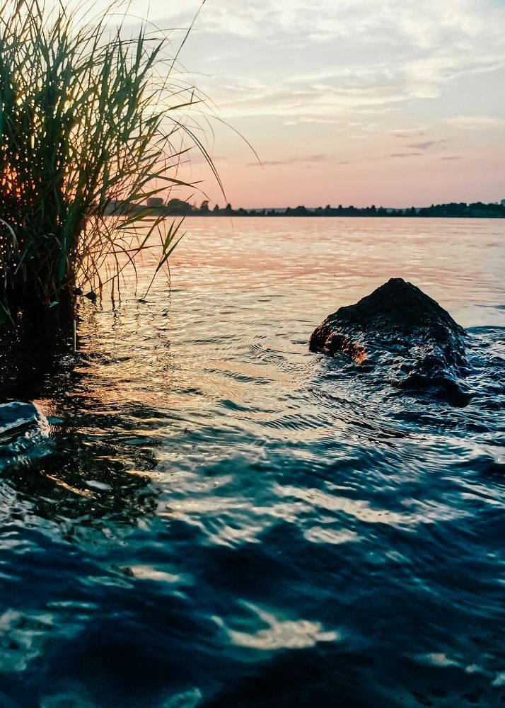 Photograph by Elizabeth Kochneva