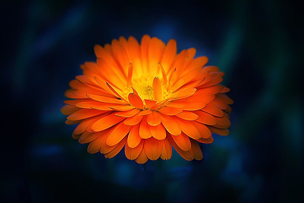 Photograph by Олег Белан