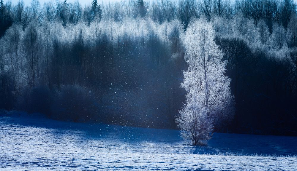 Photograph by Eriks Zilbalodis