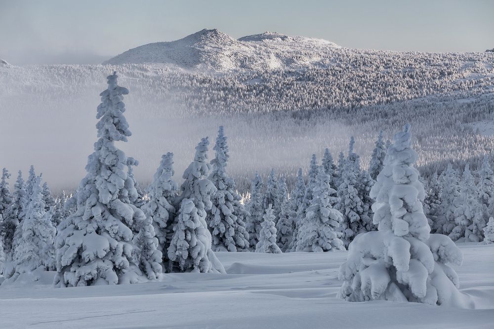 Photograph by Сергей Гарифуллин