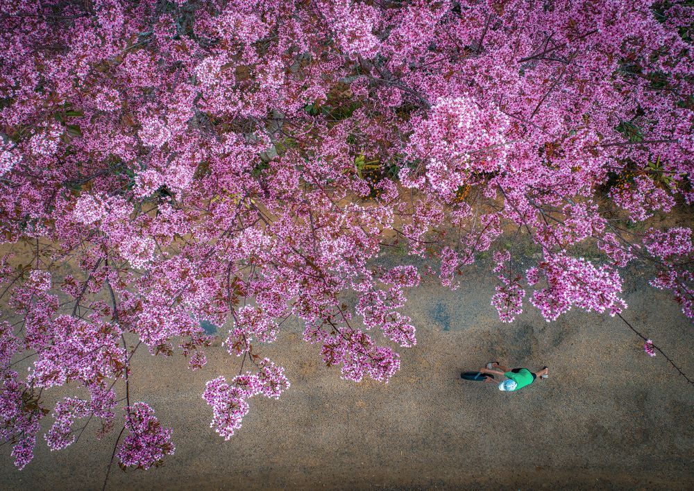 Photograph by Tran Anh