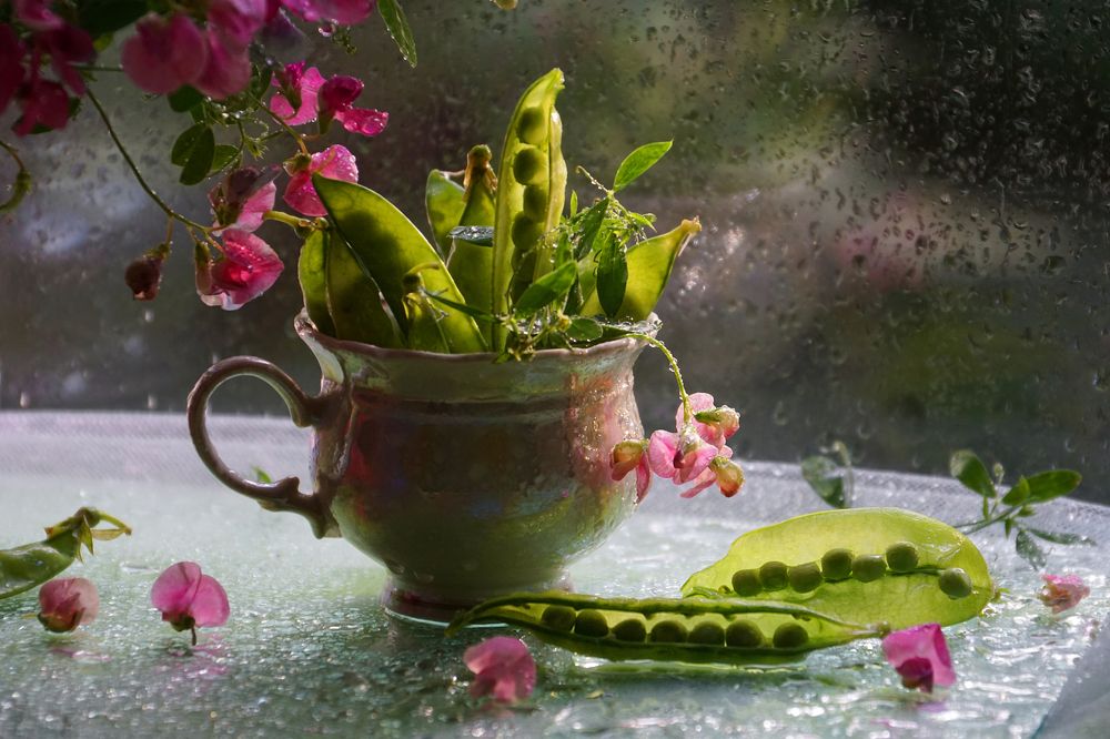 Photograph by Ольга Пуховникова