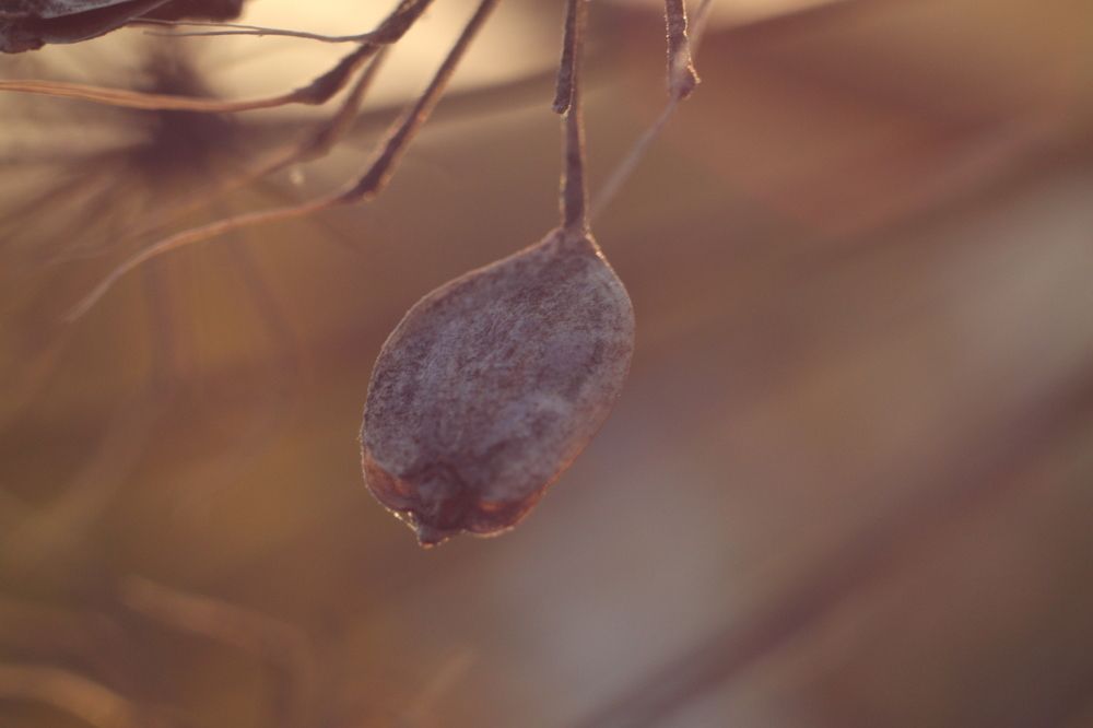 Photograph by Юлия Мелехина