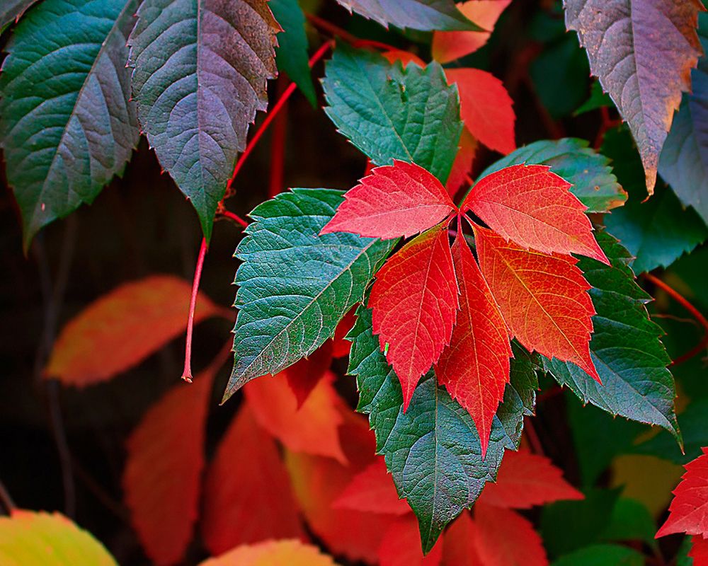 Photograph by Олег Белан