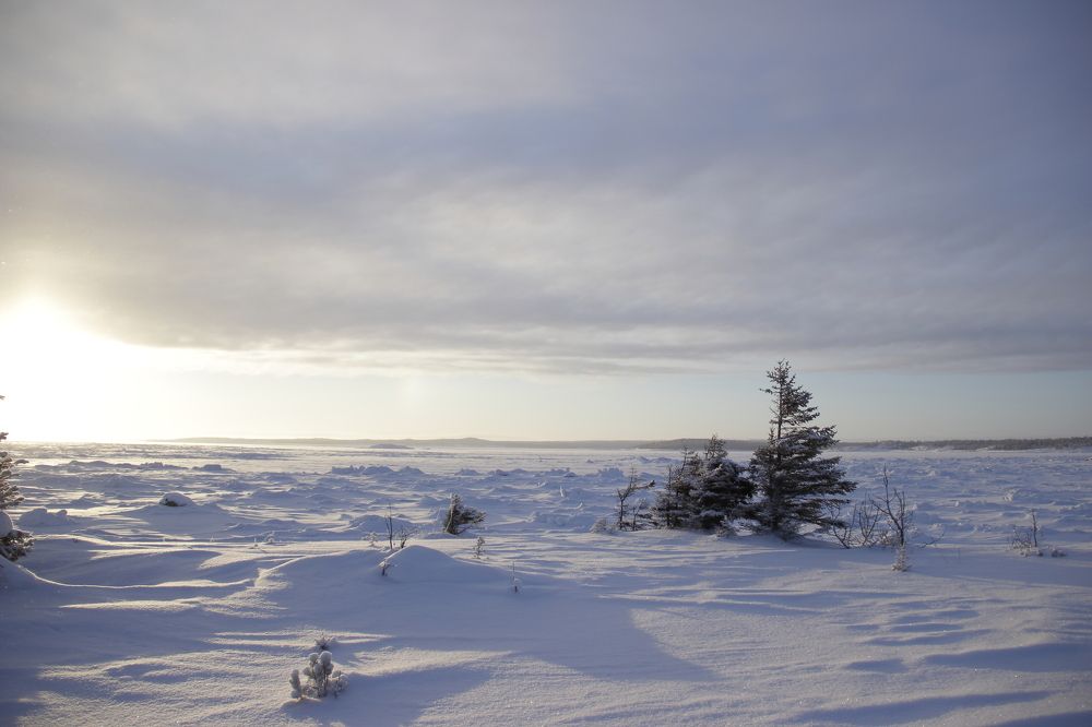 навстречу ветру