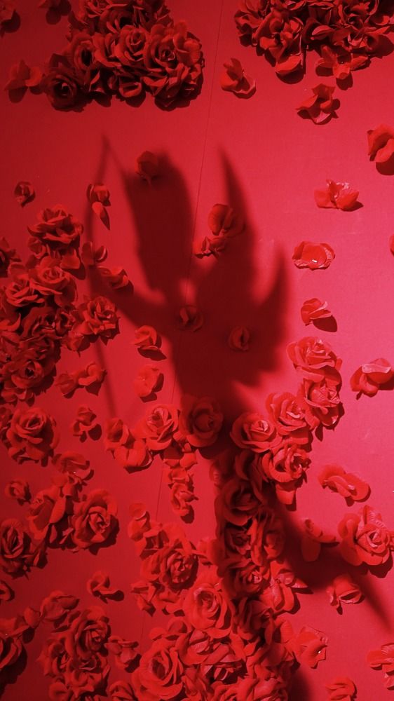 Фотография автора Анна Голубева