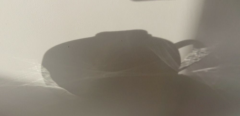 Фотография автора Анна Голубева