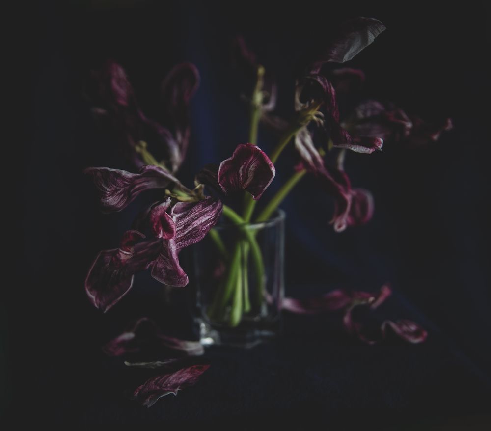 Photograph by Ганна Кліпіна