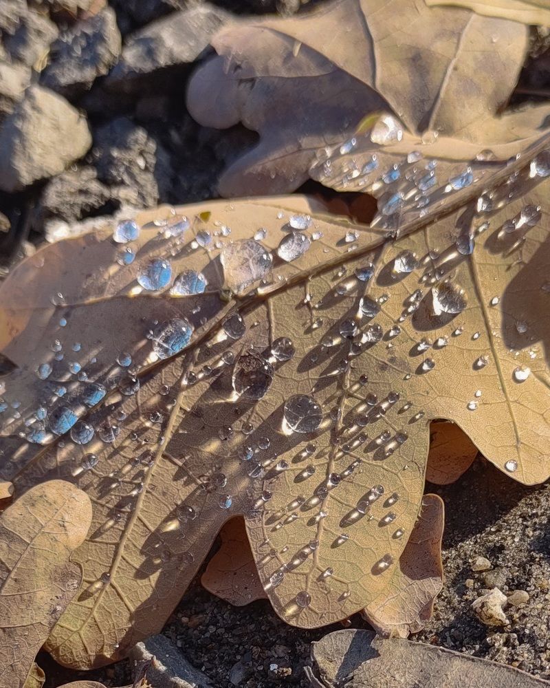 Photograph by Ганна Кліпіна