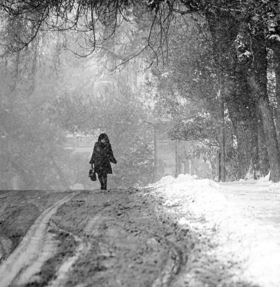 Photograph by Магеррам Меджидов