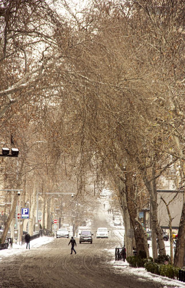 Photograph by Магеррам Меджидов