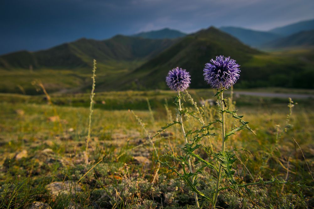 Photograph by Александр