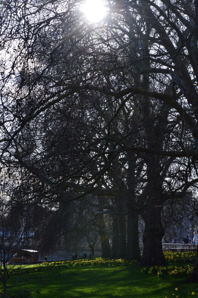 Photograph by Марина Адамковская