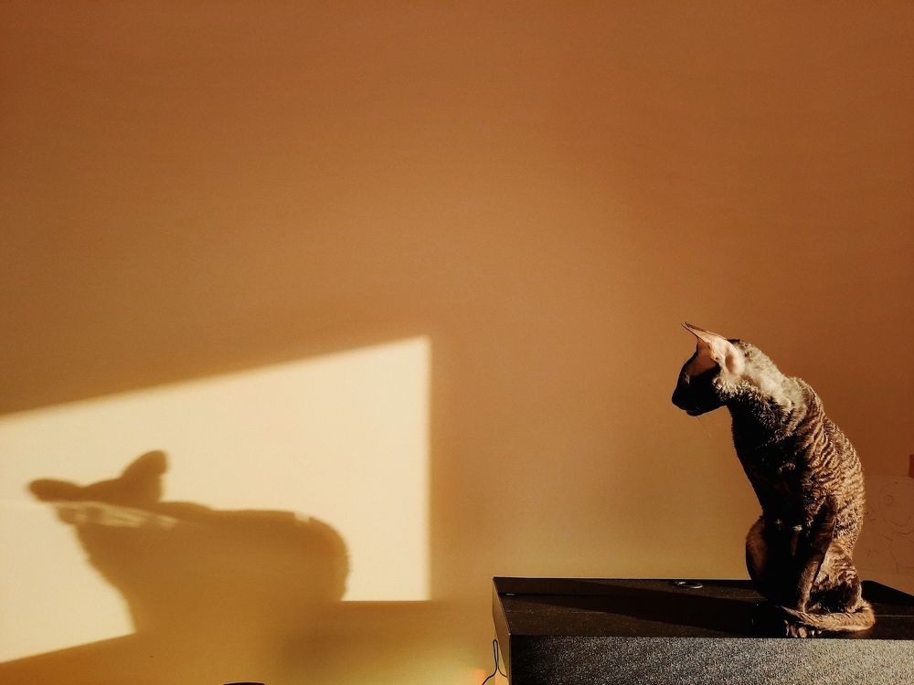 Photograph by Иванова Ира