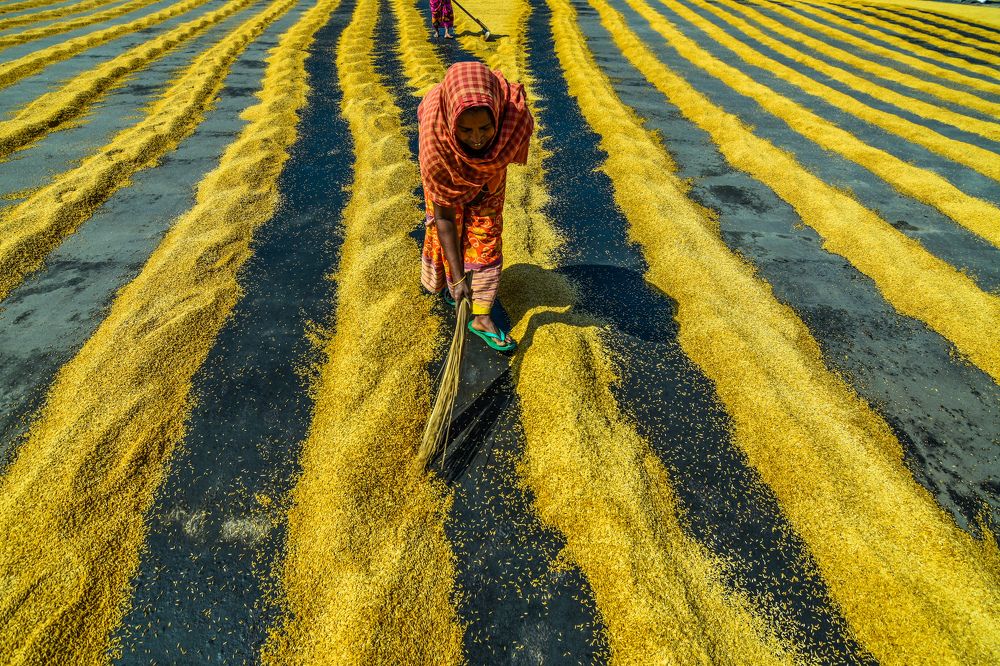 Photograph by SUBRATA DAS