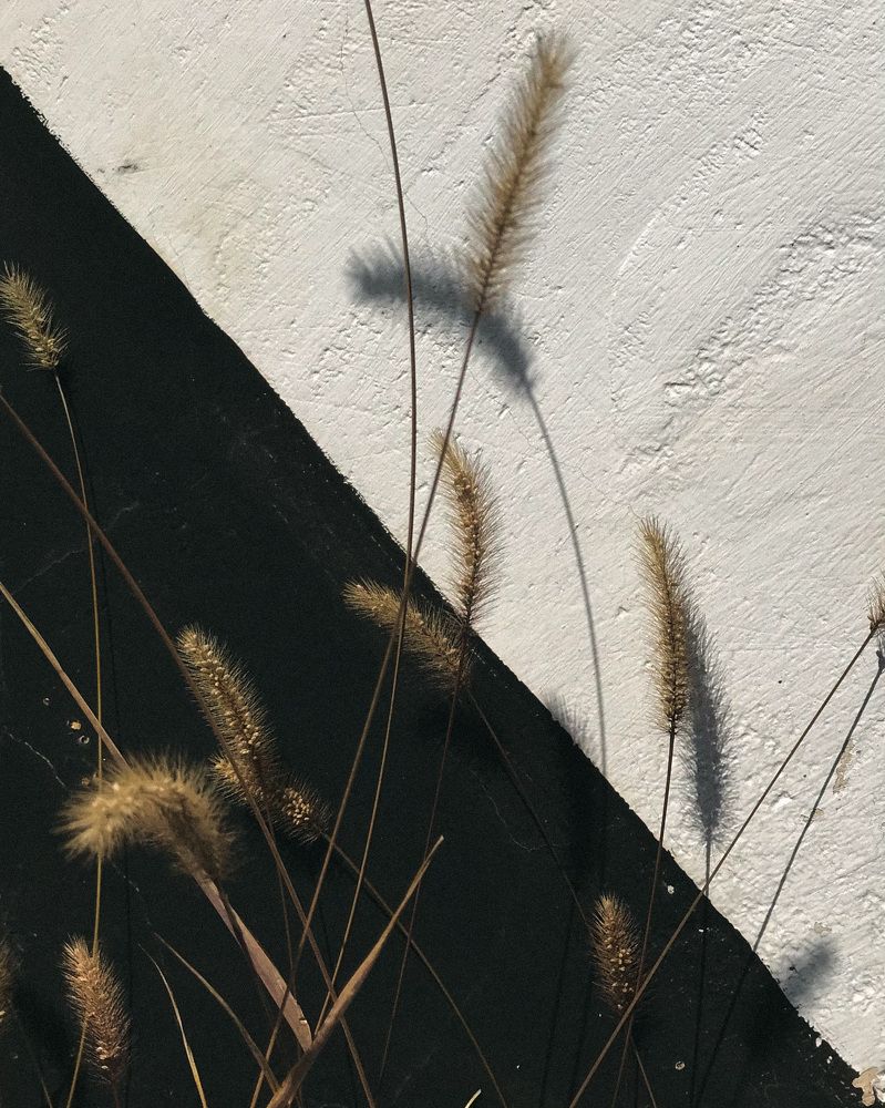 Photograph by Александра Бондаренко