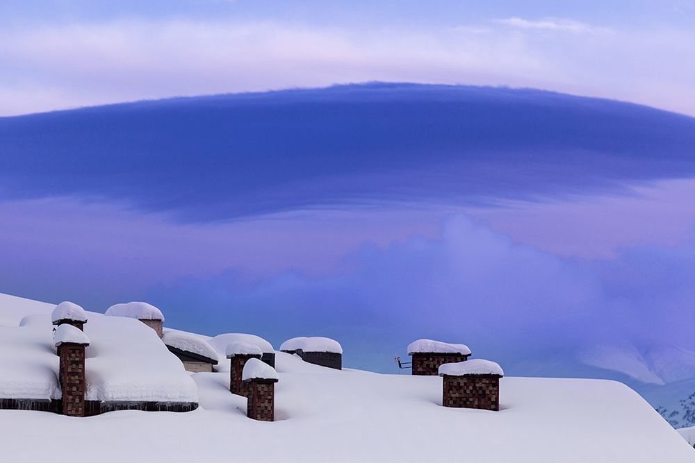 Photograph by Parisa Bajelan