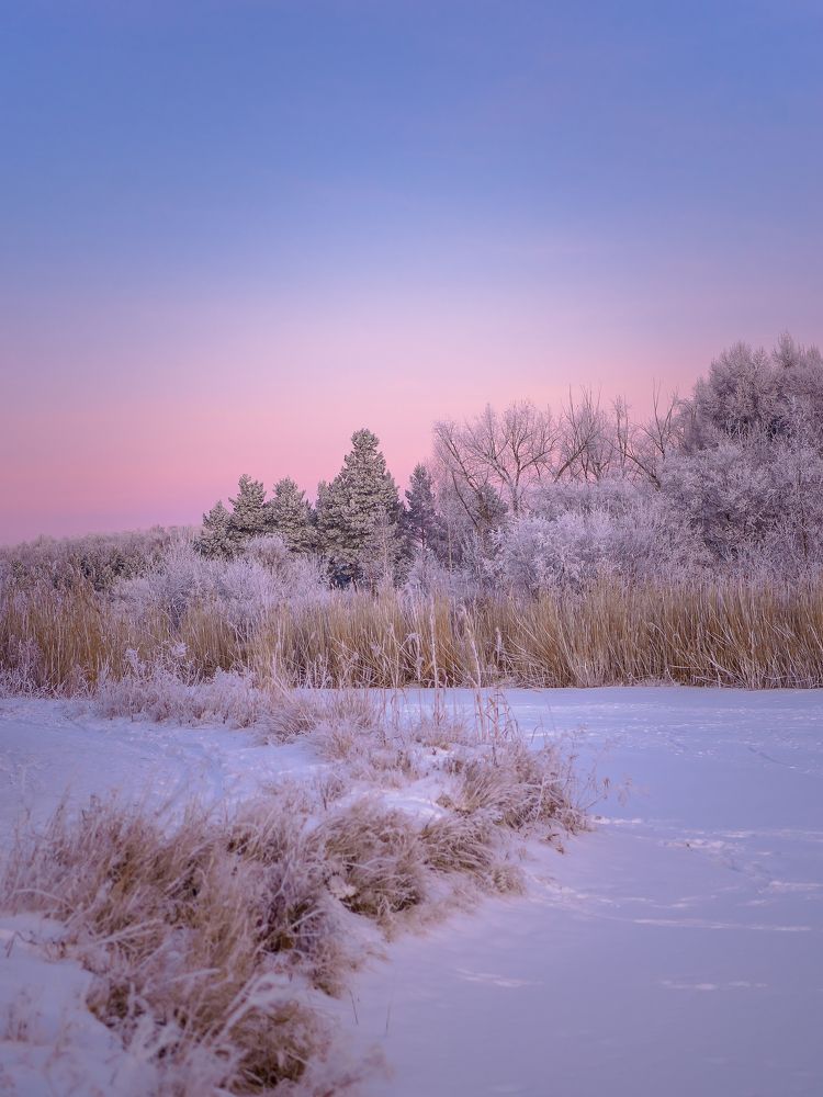 Photograph by Корнеевец Мария