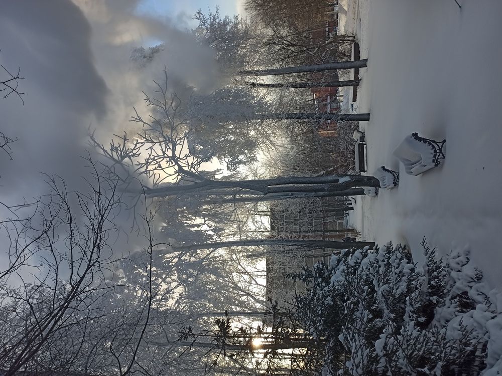 Photograph by Алёна Лихачёва
