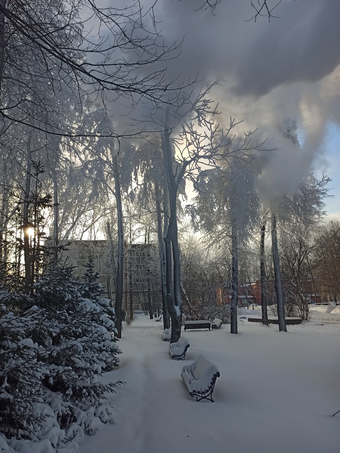 Photo #5906863