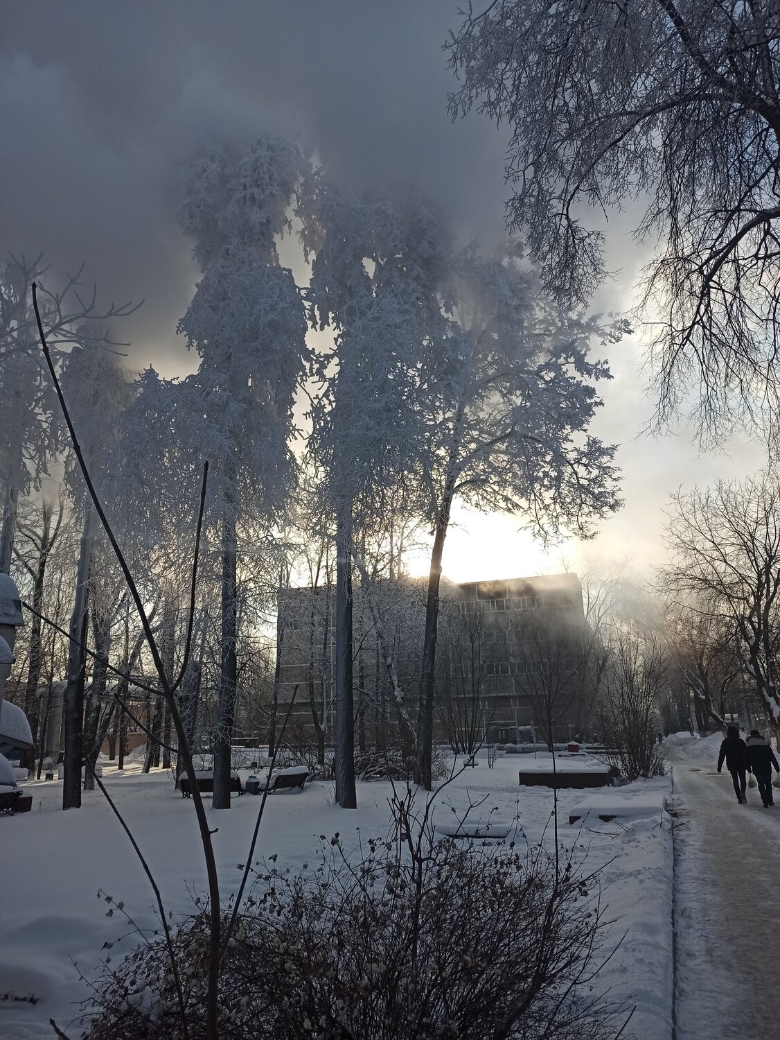 Photo #5906878