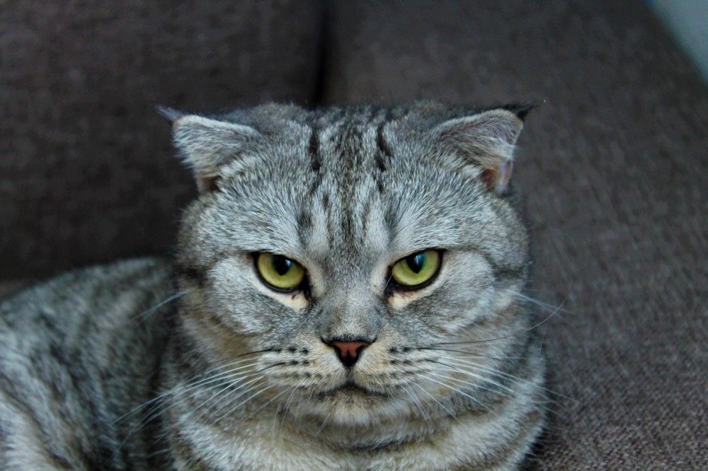 Photograph by Сергей Подлевский