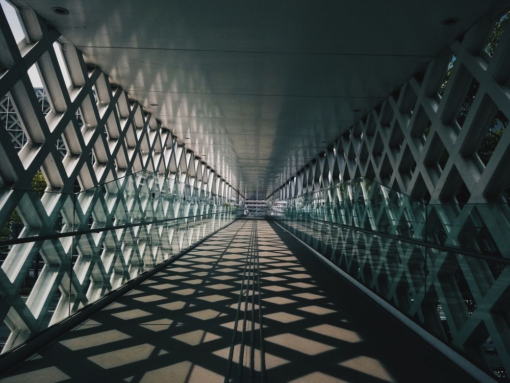 Photograph by Rahat Kijjariyapoom