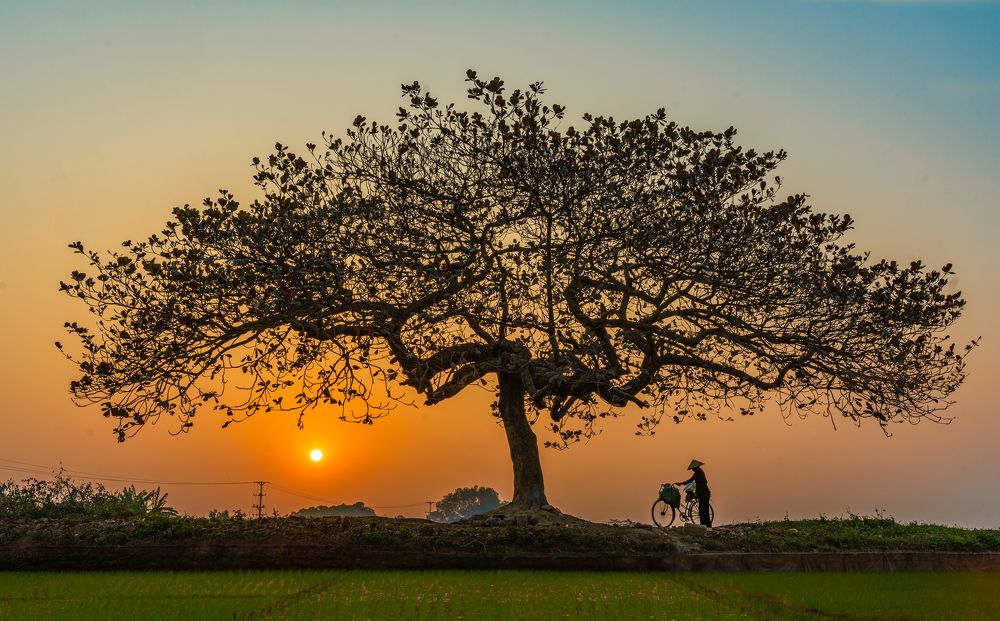 Photograph by Anh Tuấn Trần