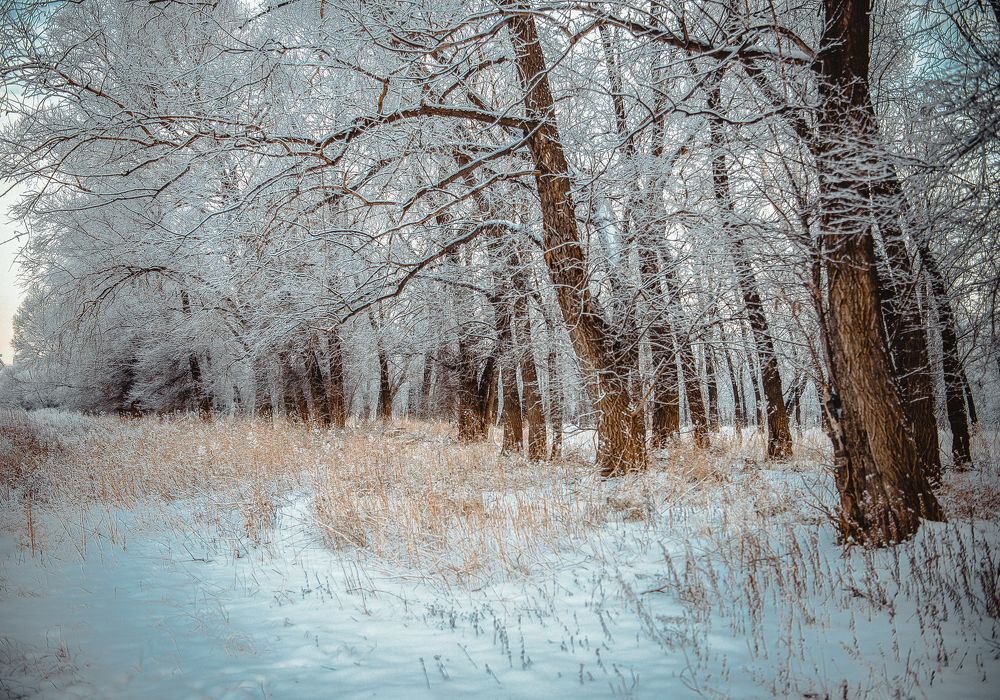 Photograph by Корнеевец Мария