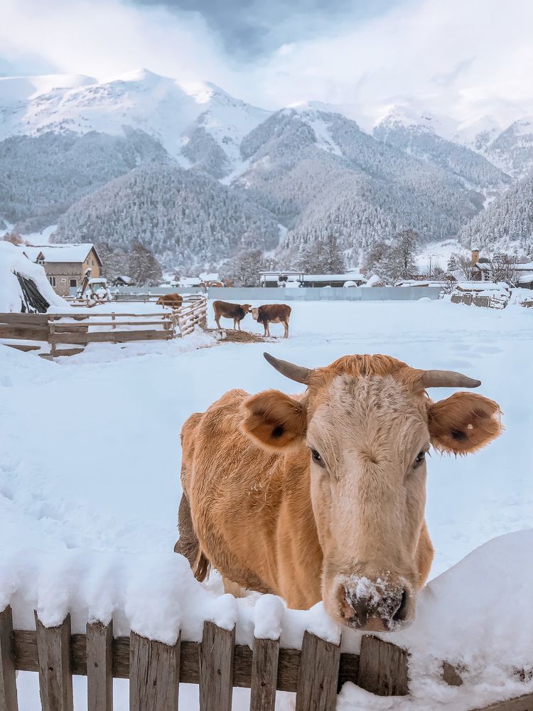 Фотография автора Анастасия Мазурева