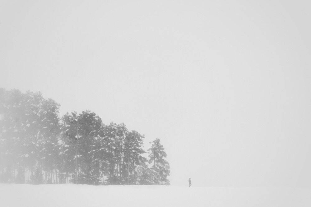 Фотография автора Alireza Bagheri sani