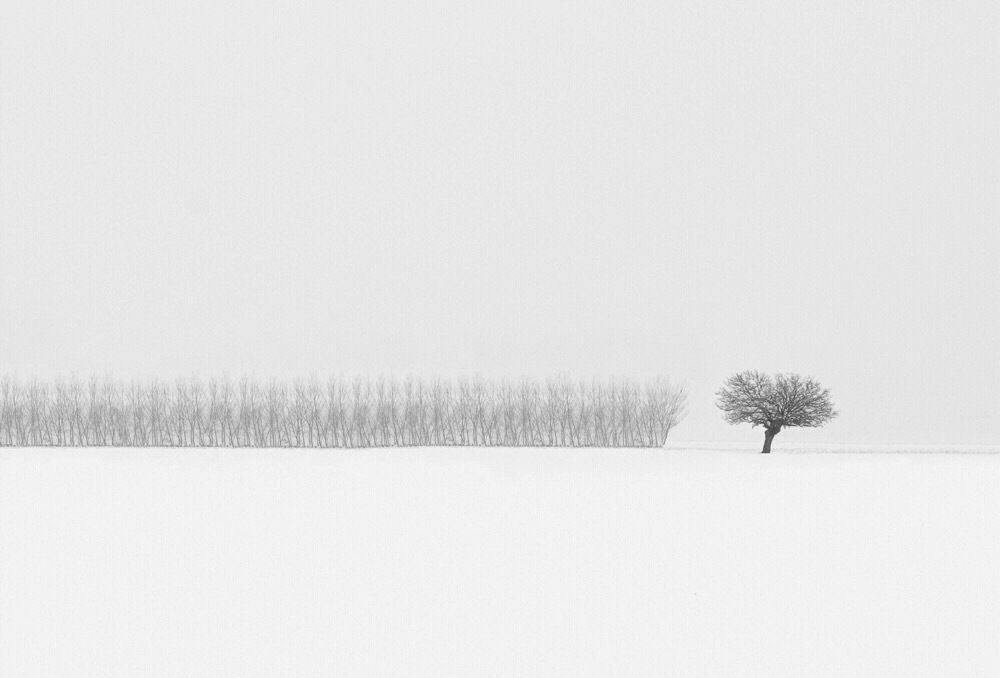 Фотография автора Alireza Bagheri sani