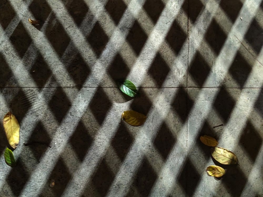 Photo #5907002