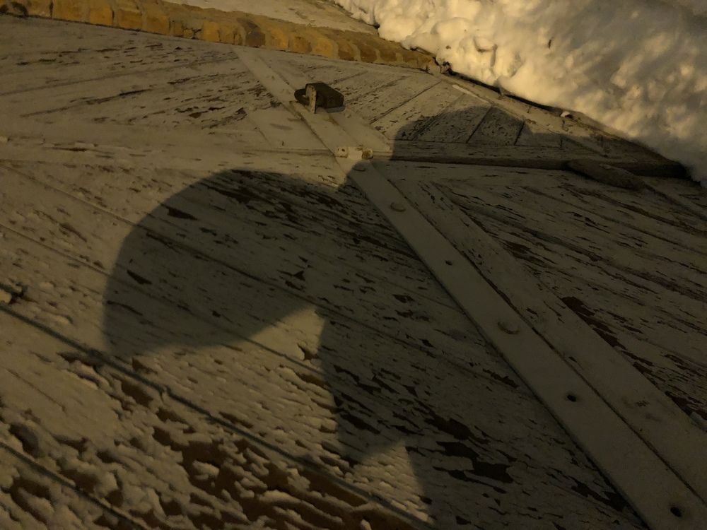 Фотография автора Евгений Неценко