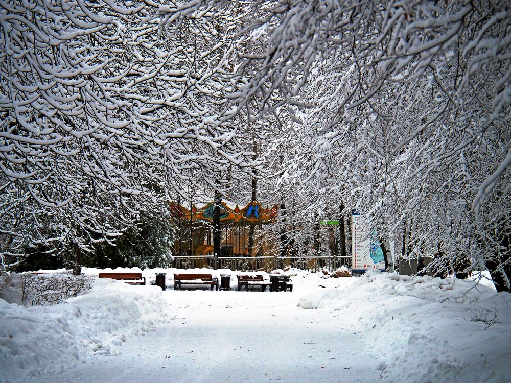 Снежная зима в Измайловском парке