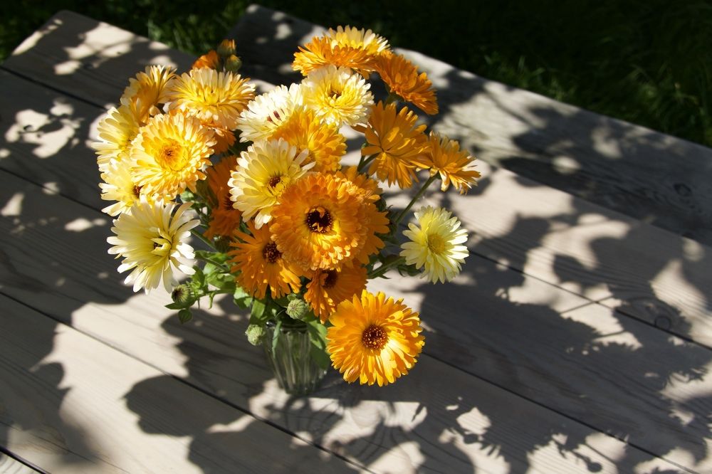 Photograph by Anastasia Perez