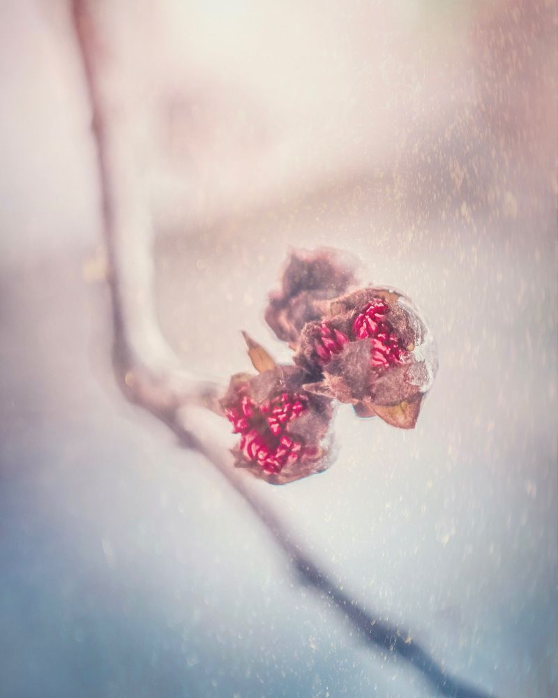 Photograph by Екатерина Потанина