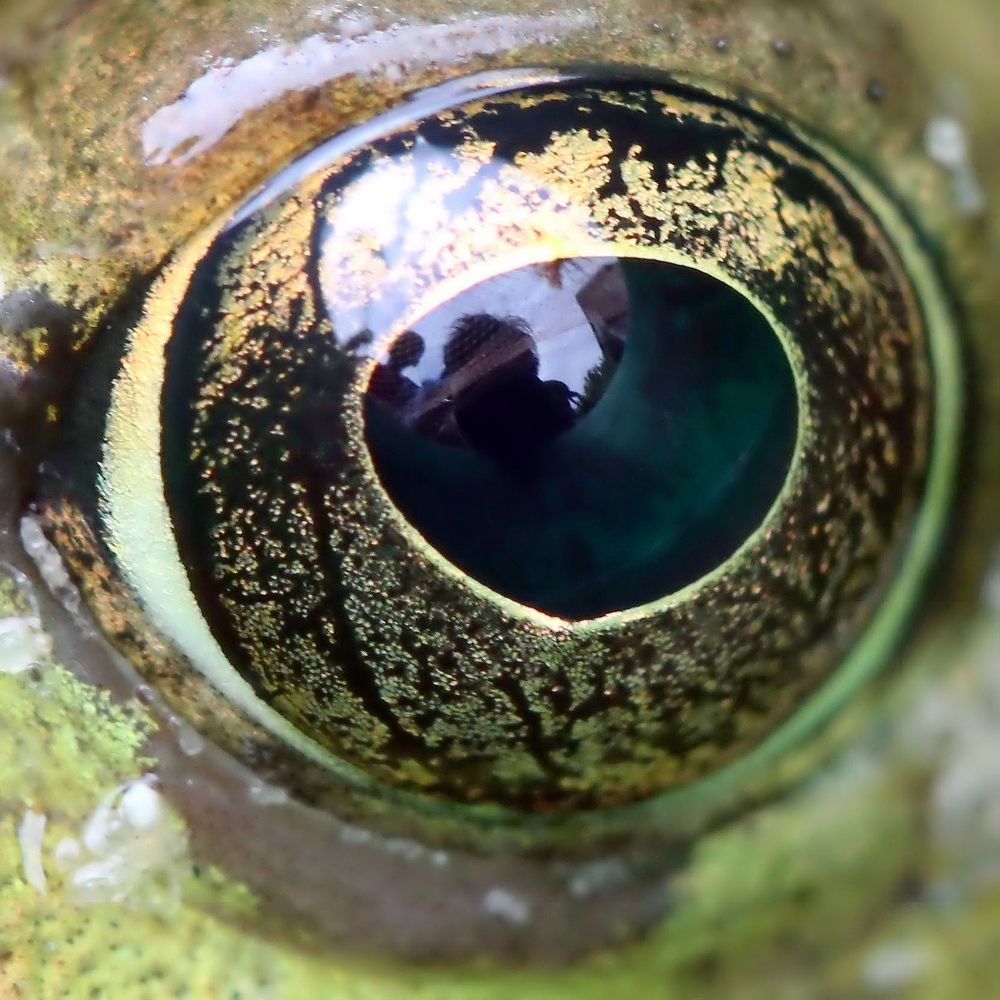 Photograph by Любовь Саханова