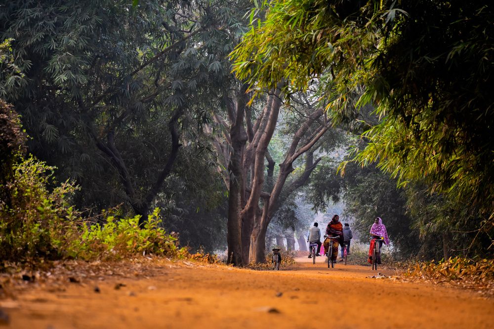 Фотография автора DALUI AMIT KUMAR