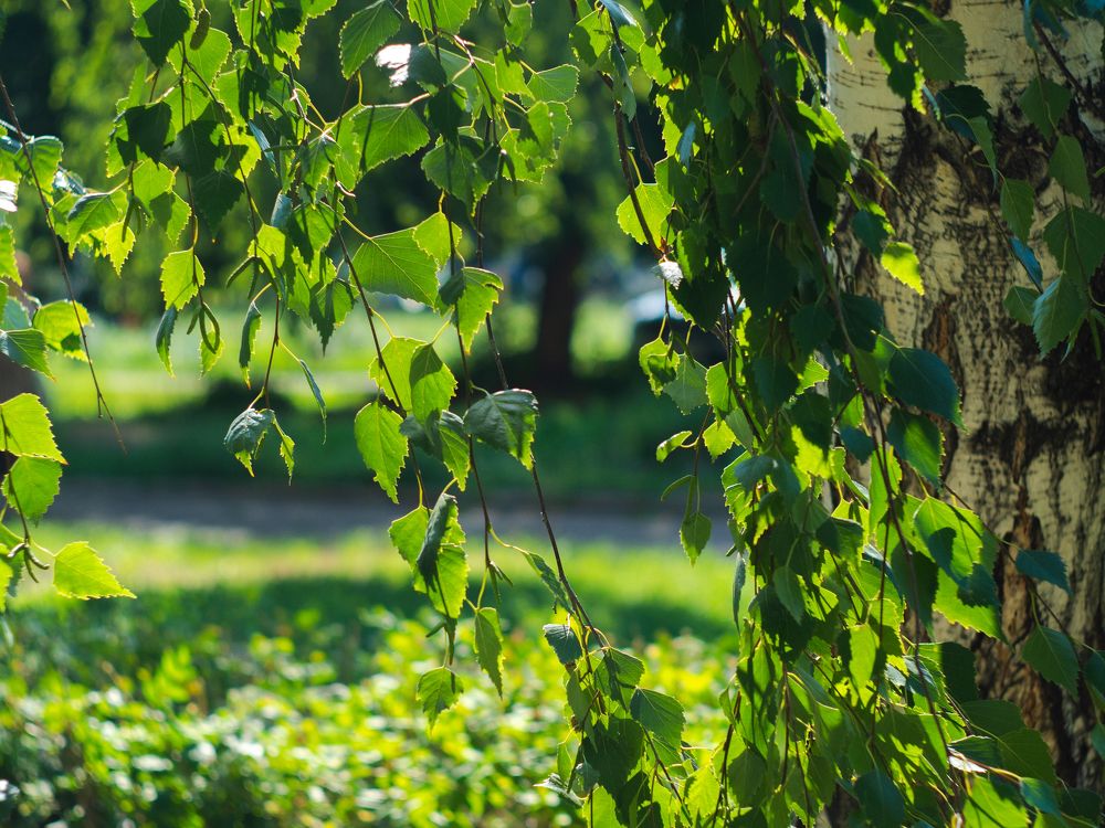 Photograph by Вячеслав Баширов