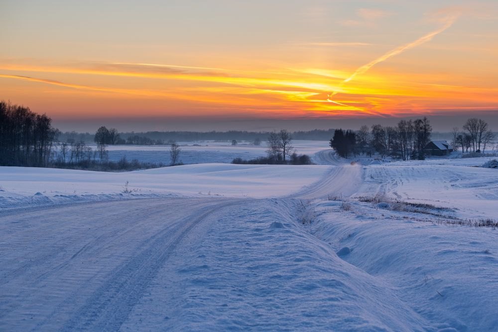 Photograph by Eriks Zilbalodis